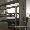 Automatically Double servo biscuits pillow packing machine